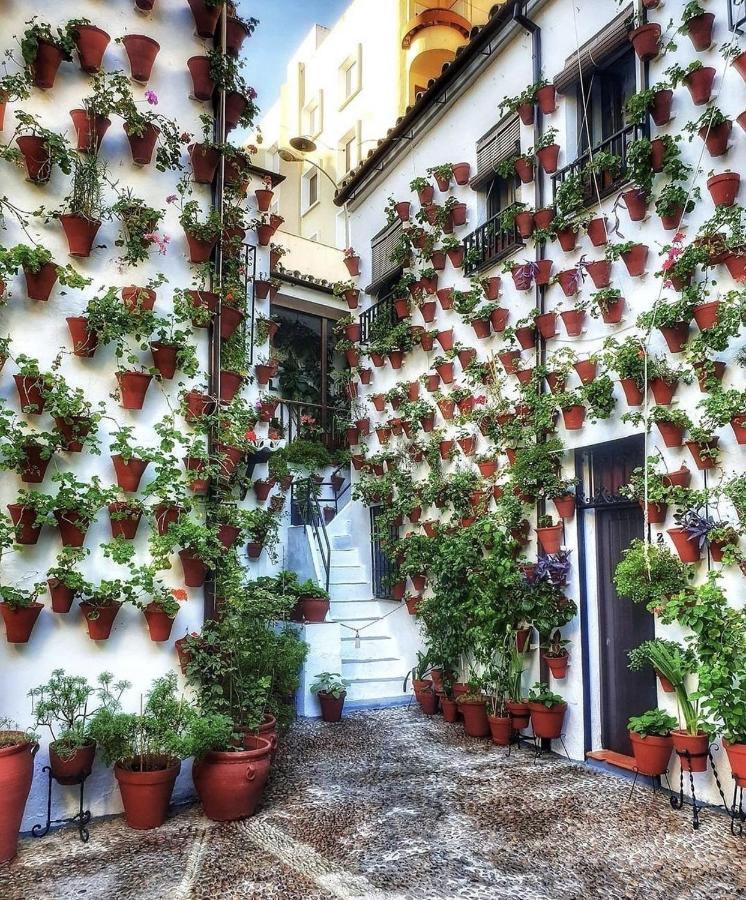 Apartamentos El Alcazar Viejo Córdoba Exteriér fotografie