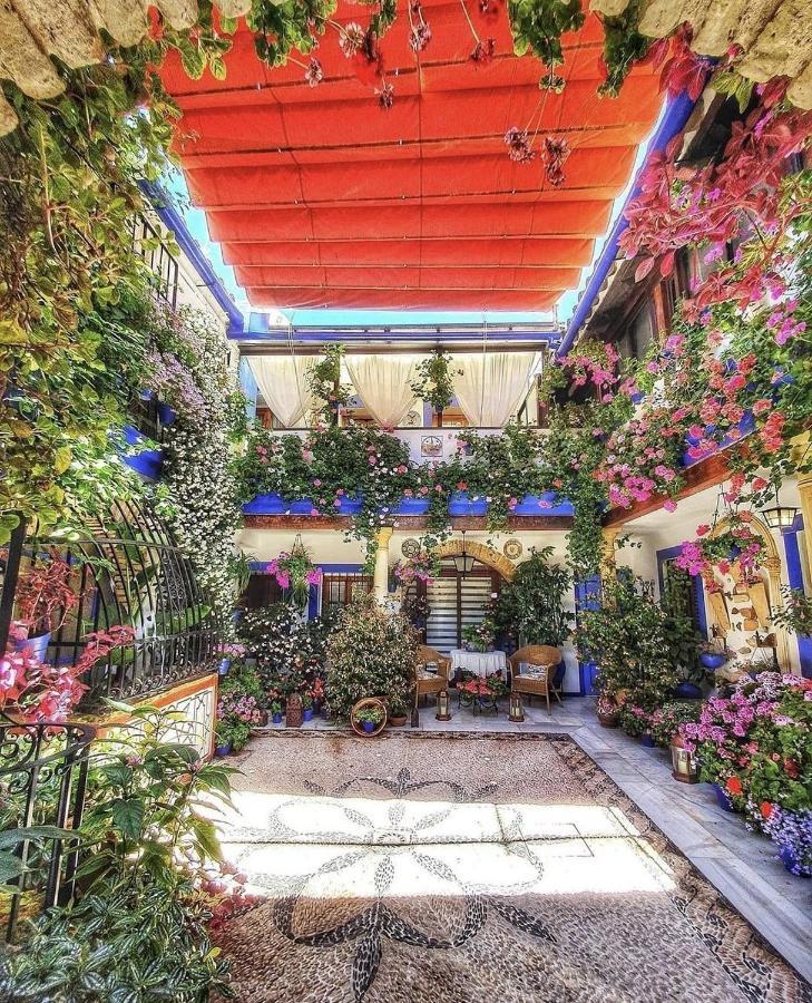 Apartamentos El Alcazar Viejo Córdoba Exteriér fotografie