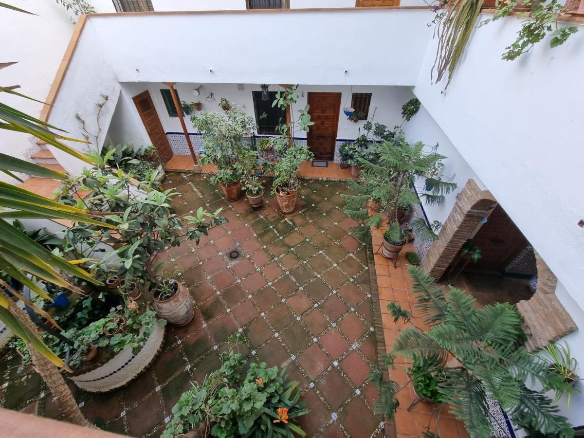Apartamentos El Alcazar Viejo Córdoba Exteriér fotografie